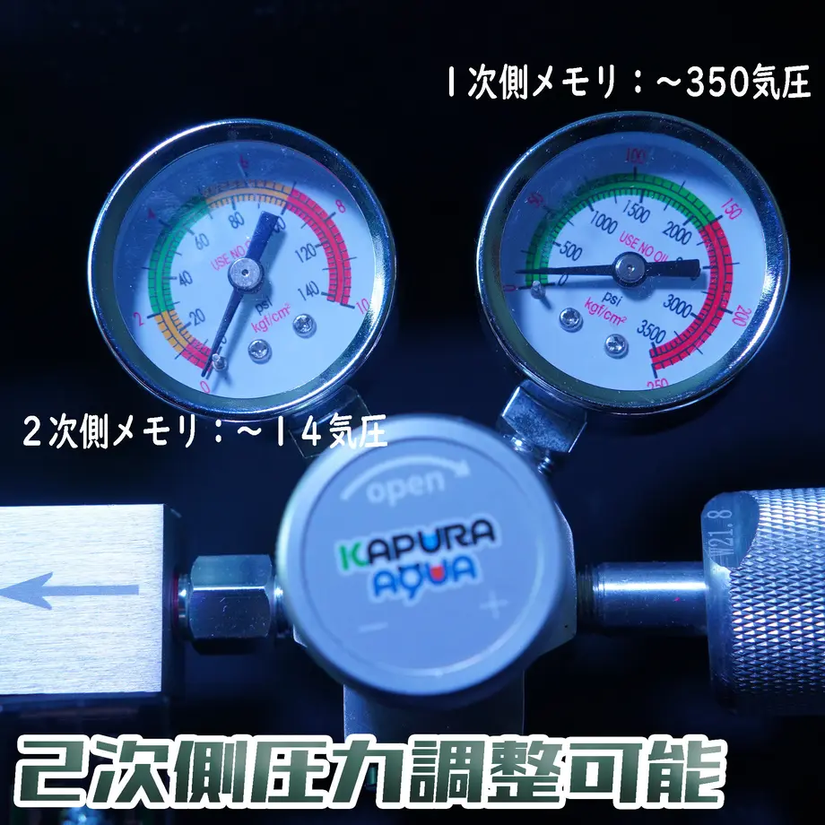 61c3aba42ee5c208a8a6e6e8
