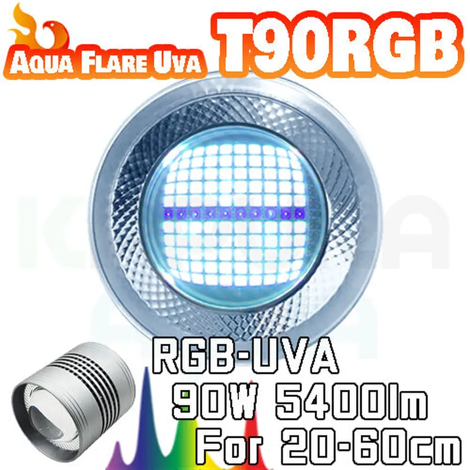 6114864f8a45720c7770858f