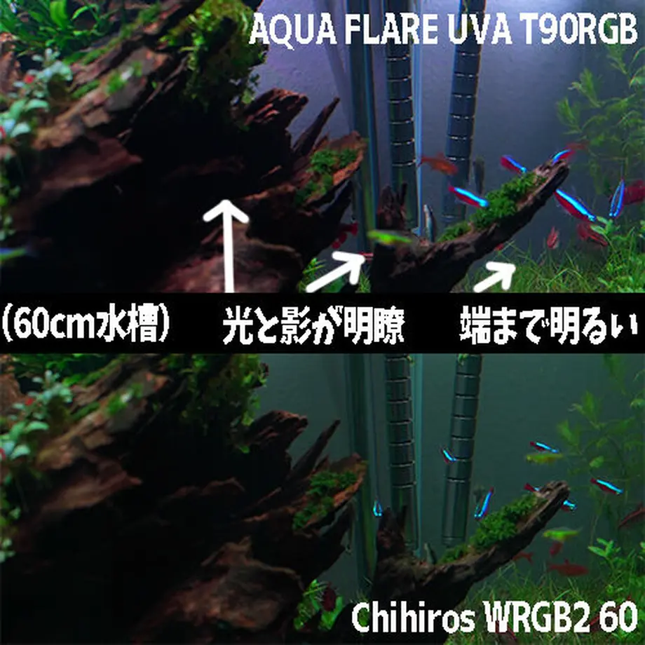 6114864f8a45720c7770858f