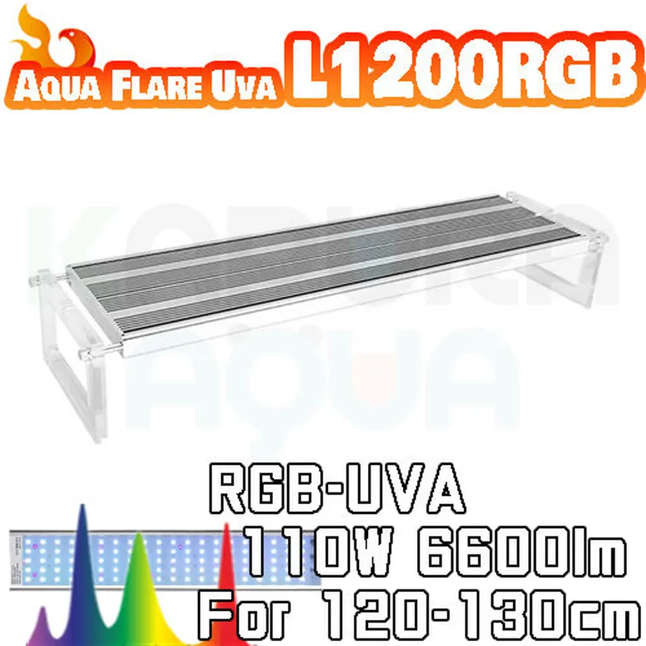 62af1bc4288b80445343db86