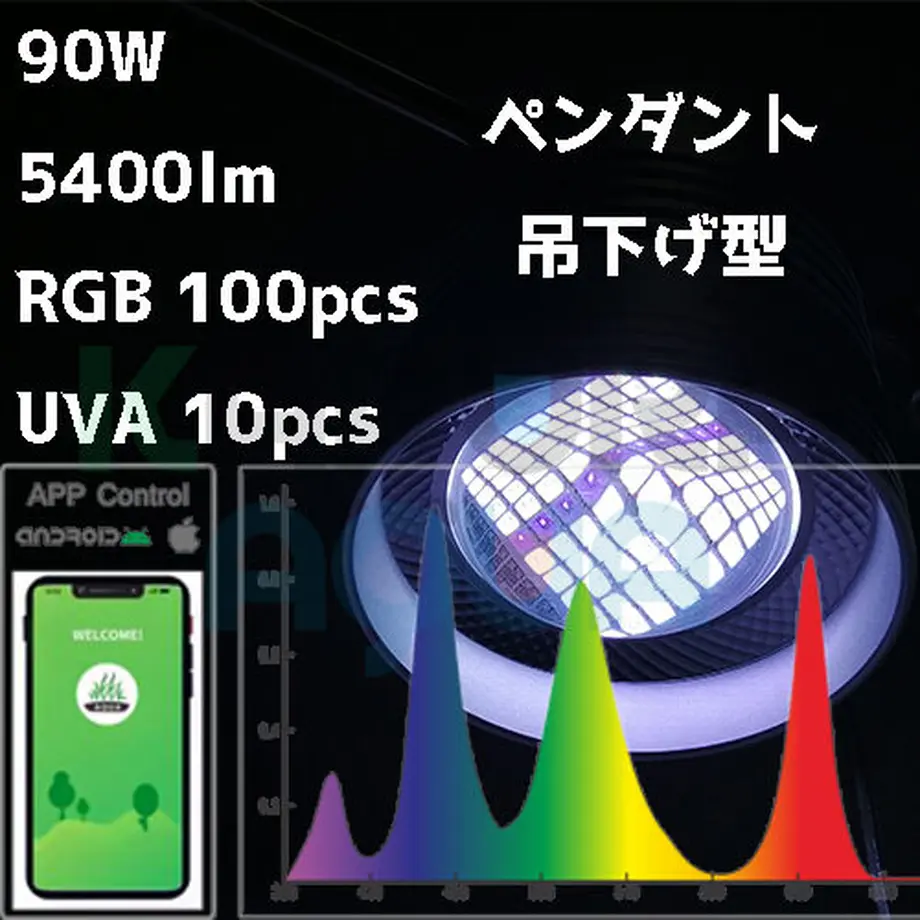 6114864f8a45720c7770858f