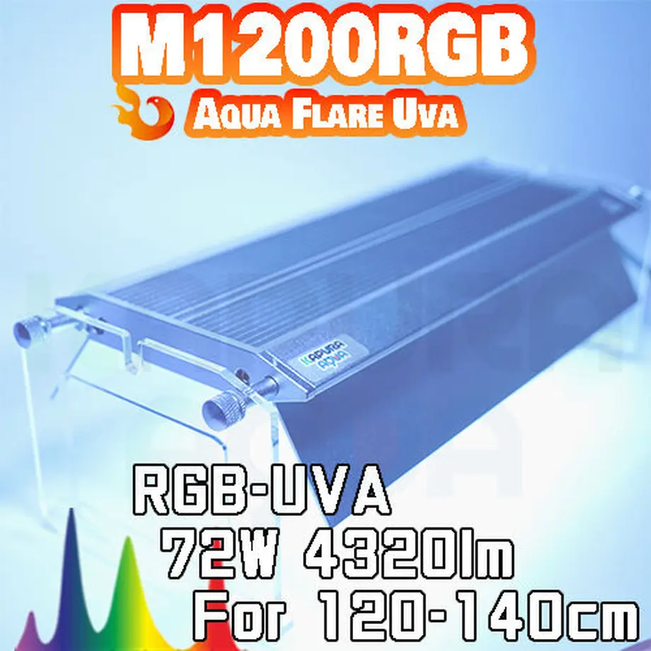 6164f5d2603feb156313120c
