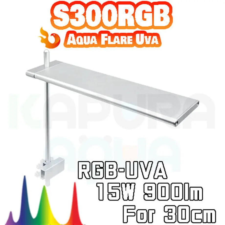 616830c91bfe1908e77900ab