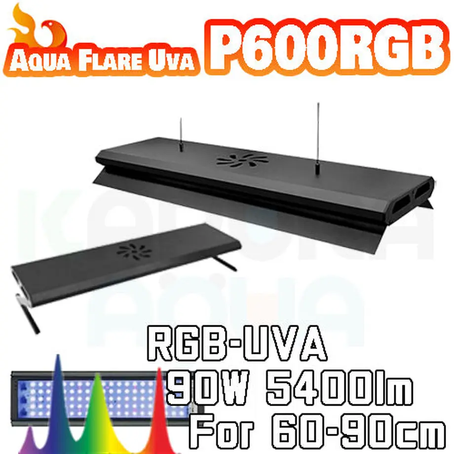 6114cd9084ca633e57a3b732