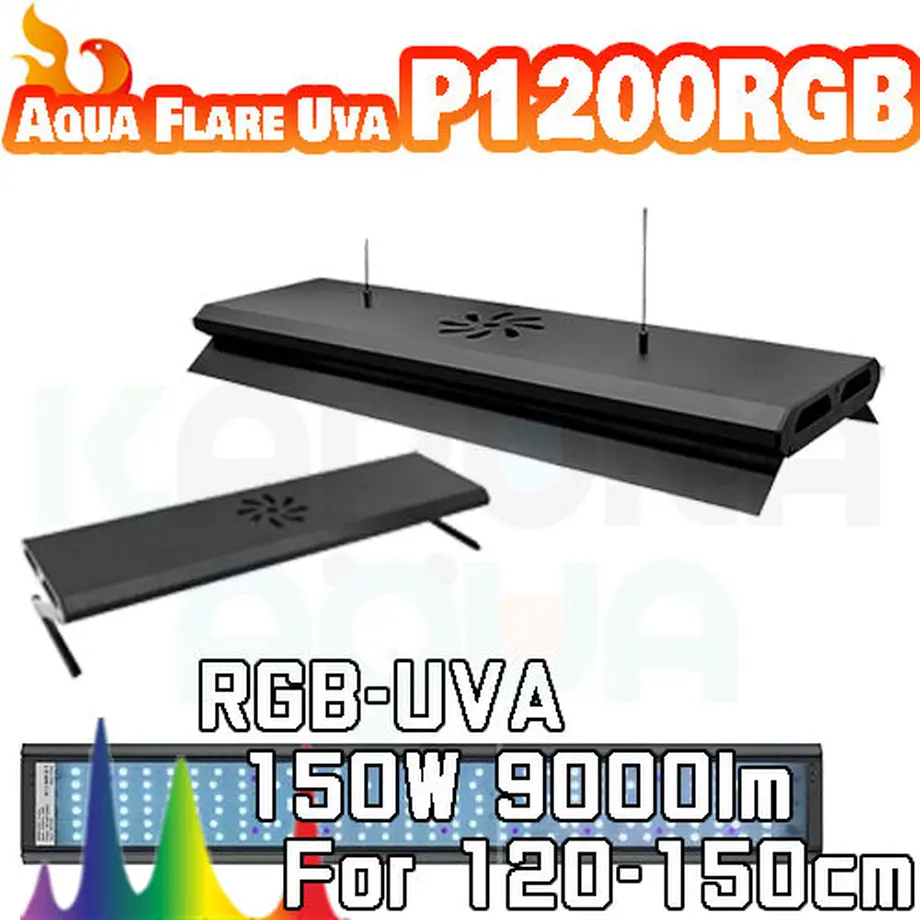 612515d38696c73fd7a13338