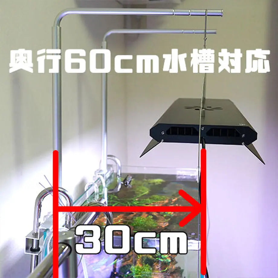 61376d118c1a5b31f784291f