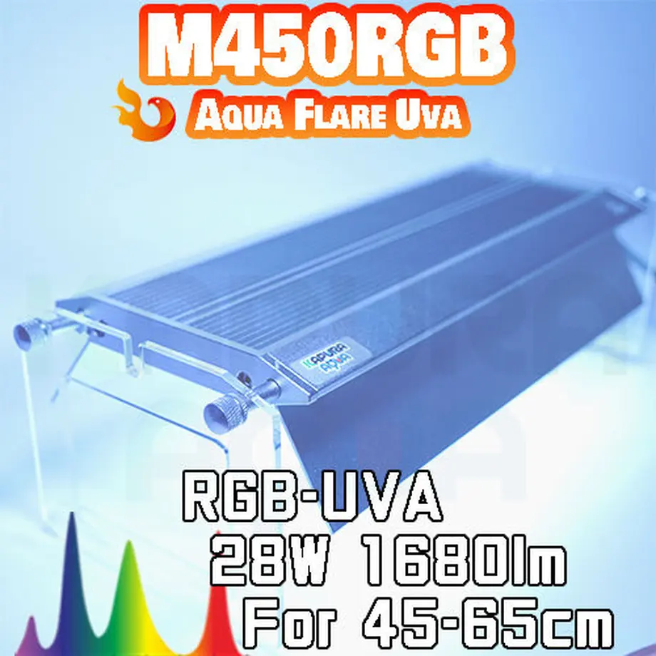 6164f3a8acbcb0310a5320d7