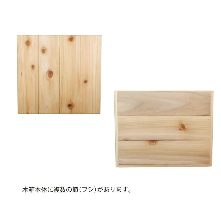 609f825e9a5b752ebfbff955