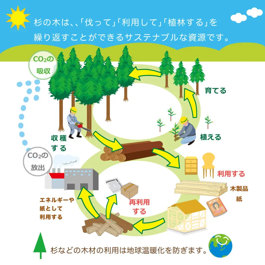 609f72a50e24031acf376ac9