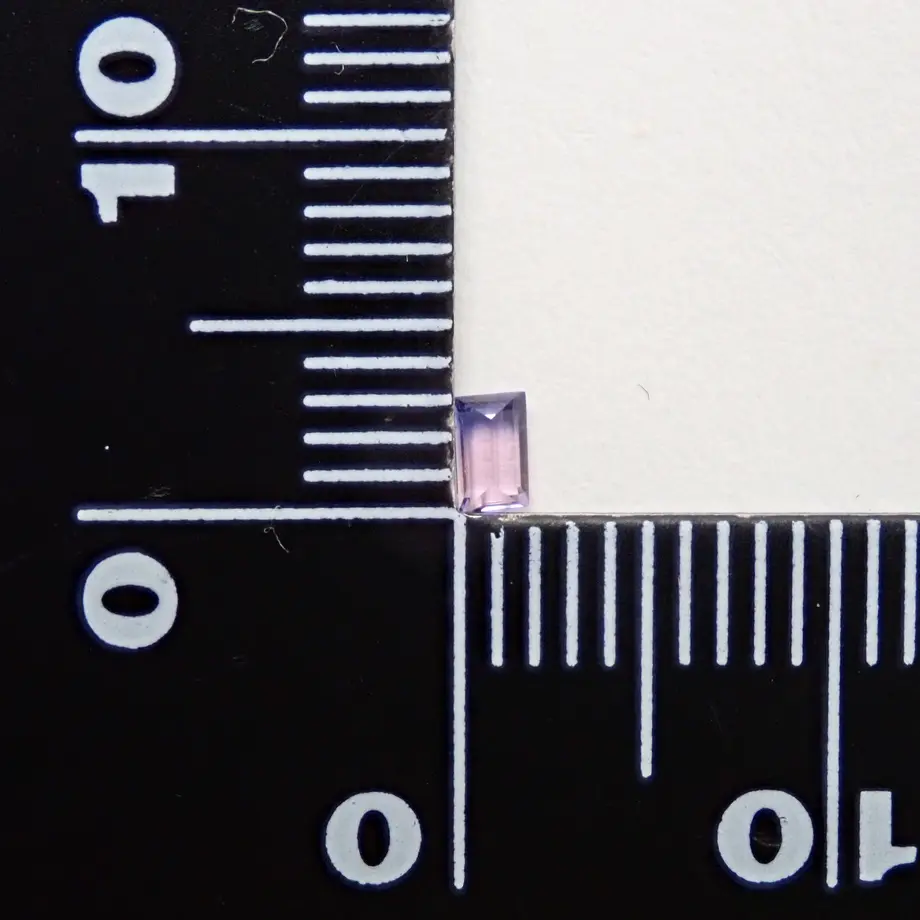 5fdc8153935fcc3a3e49b8a2