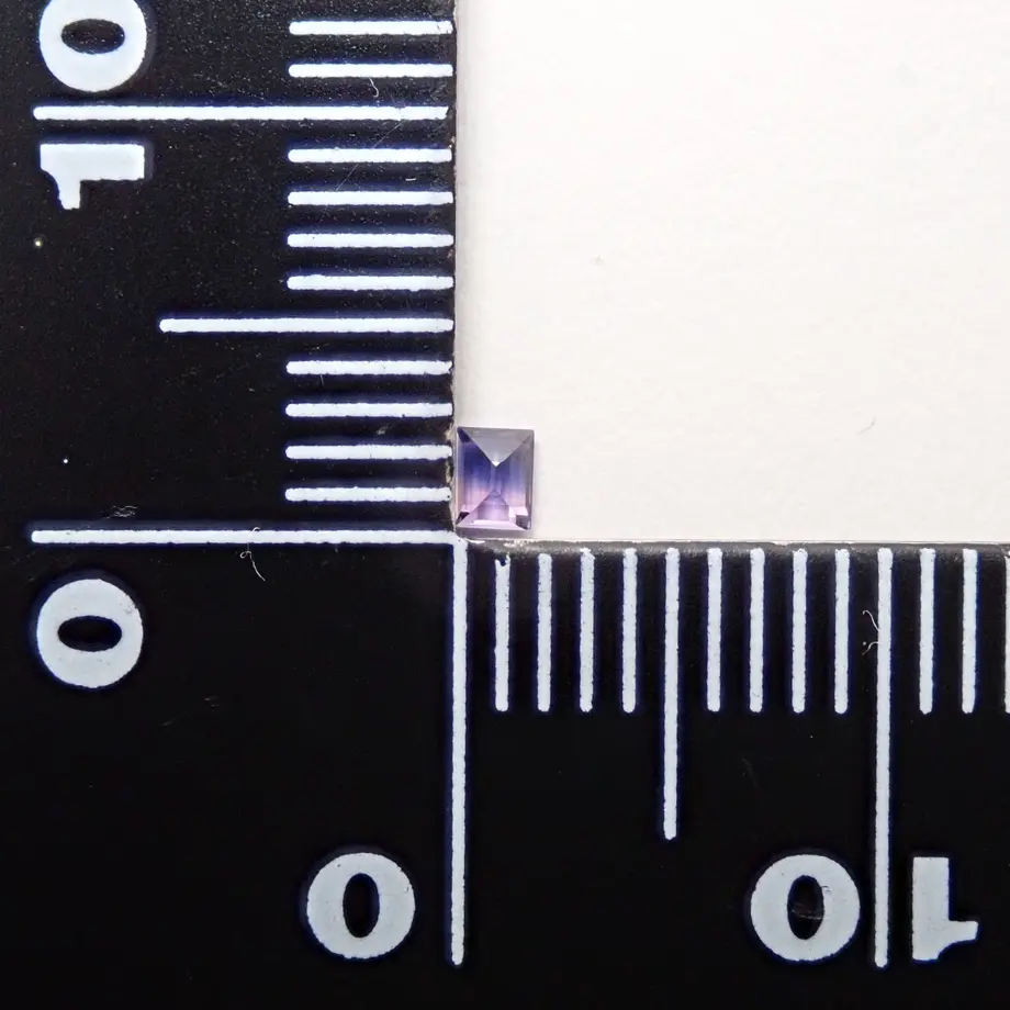 5fdc8152935fcc3a3e49b89d