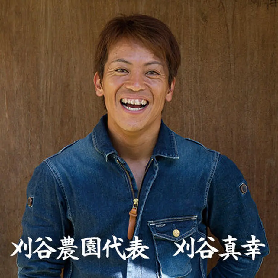 56d2817bbfe24c84bf00515d