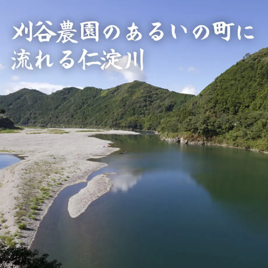 56d2834d3cd4827a3300ae19
