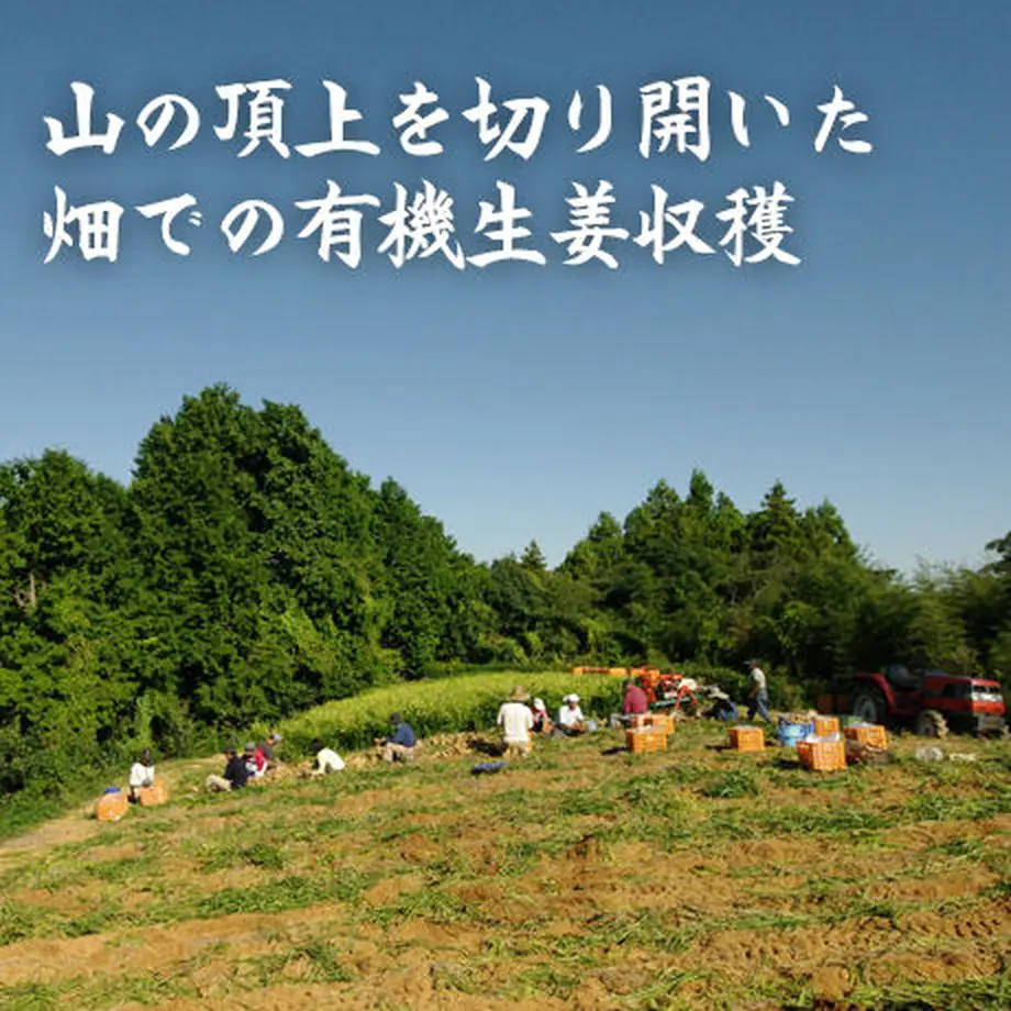 56d28282ef3377eb320002e8