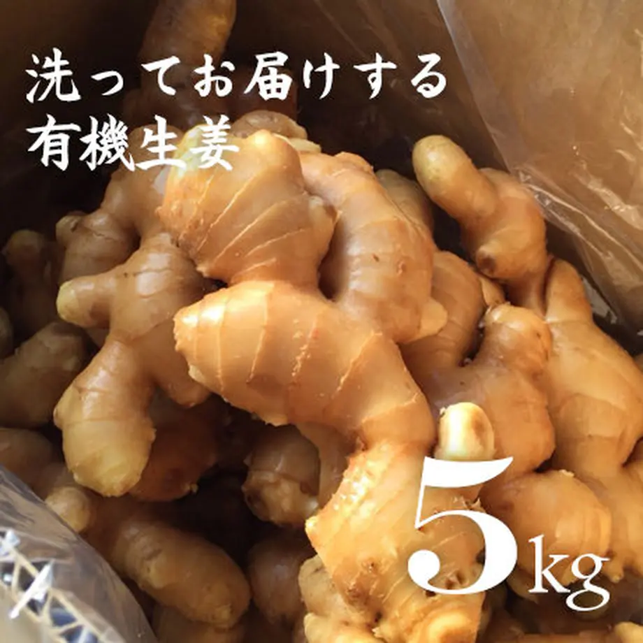 56d2817bbfe24c84bf00515d