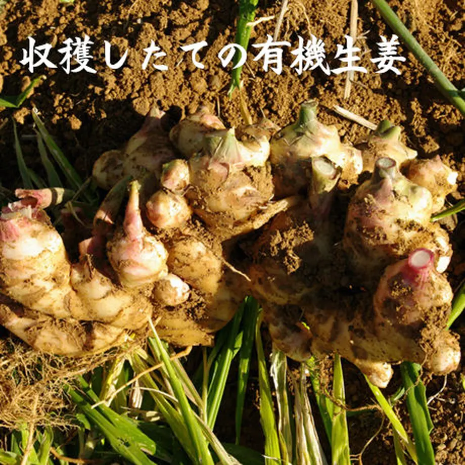 56d2817bbfe24c84bf00515d
