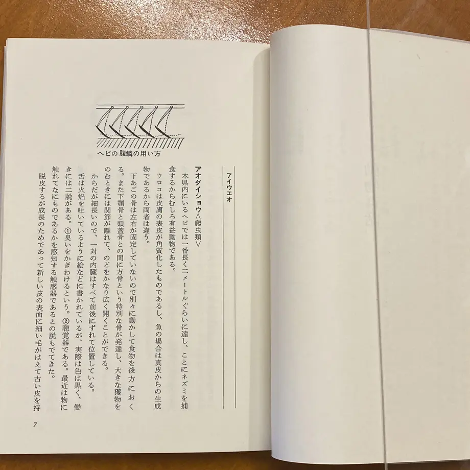 60588298a87fc572c2fc107b