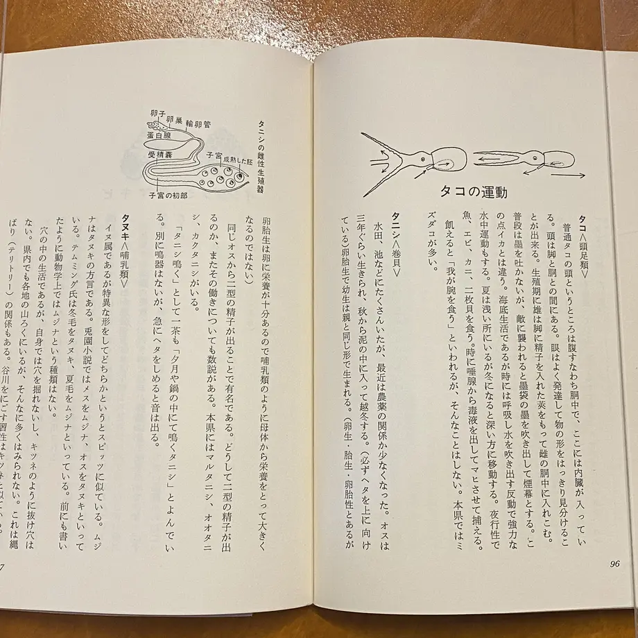 60588298a87fc572c2fc107b