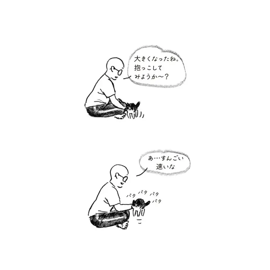 62fe85f5d889374ee2b20744