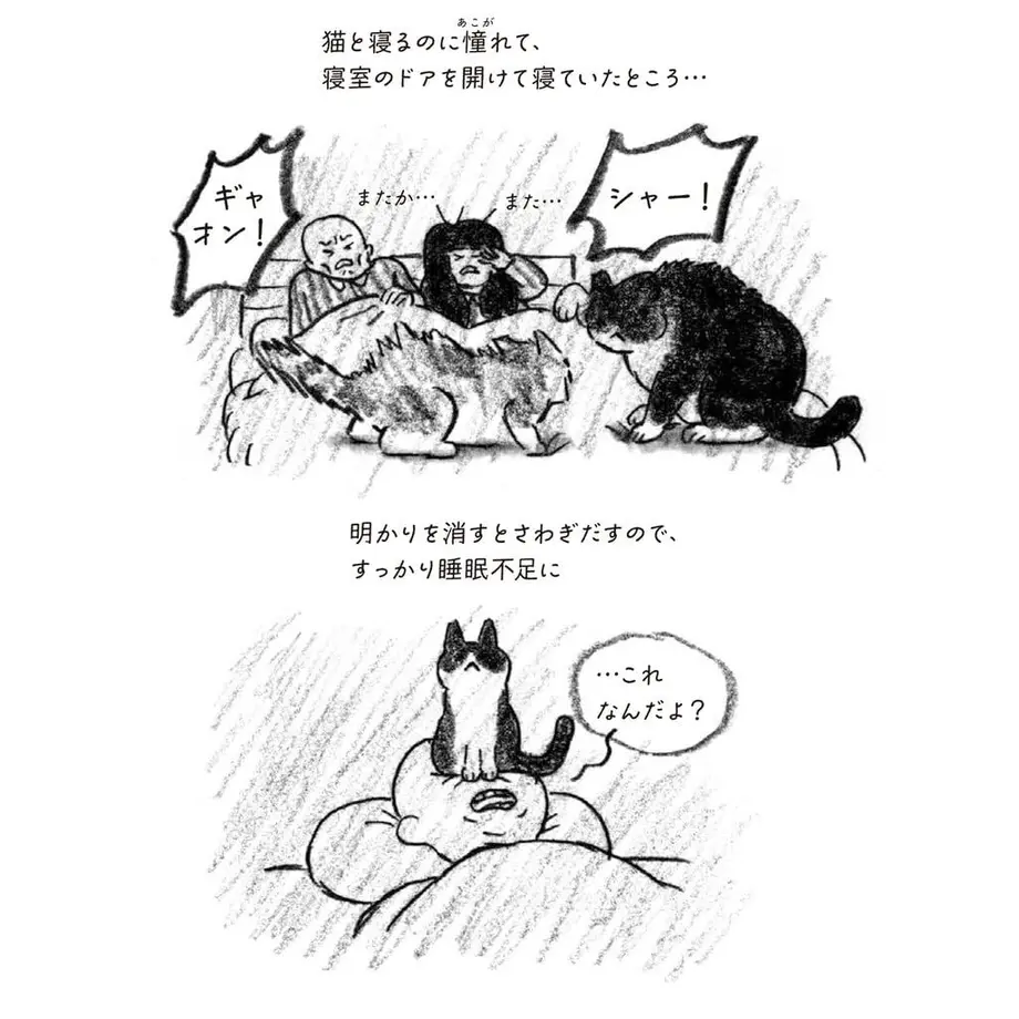 62fe85f5d889374ee2b20744