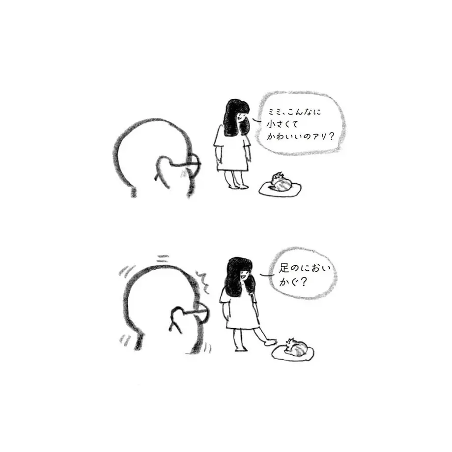 62fe85f5d889374ee2b20744