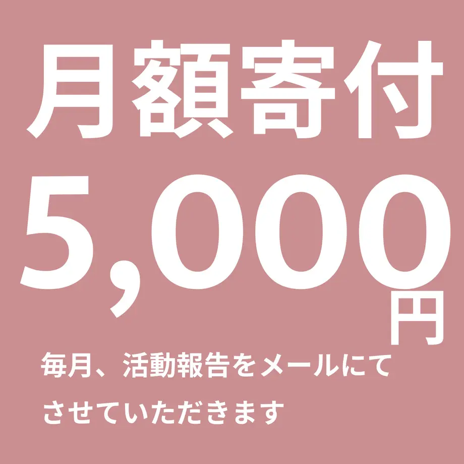 5c99cff2a71db70c1c572002