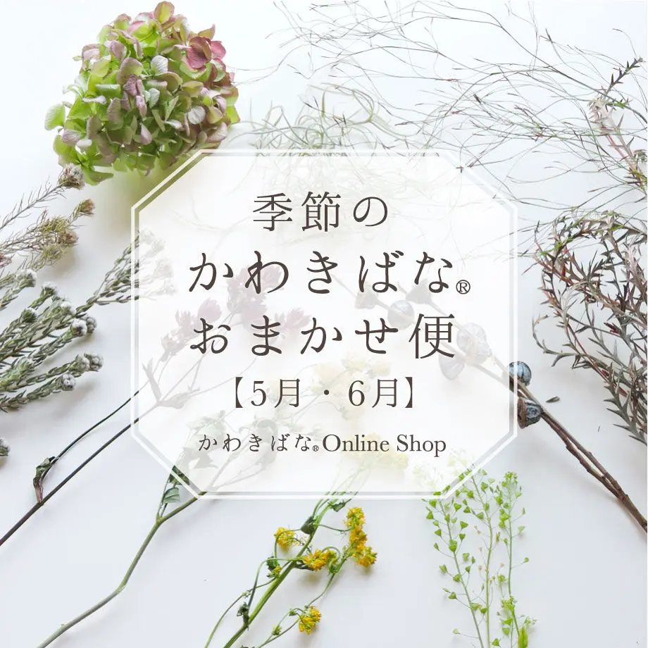 607a442b1e746b77460aa90c
