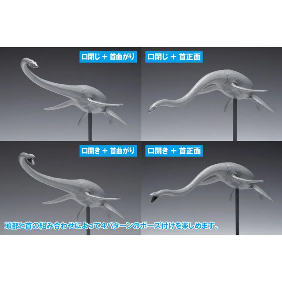 63743d24ba62e05539270673