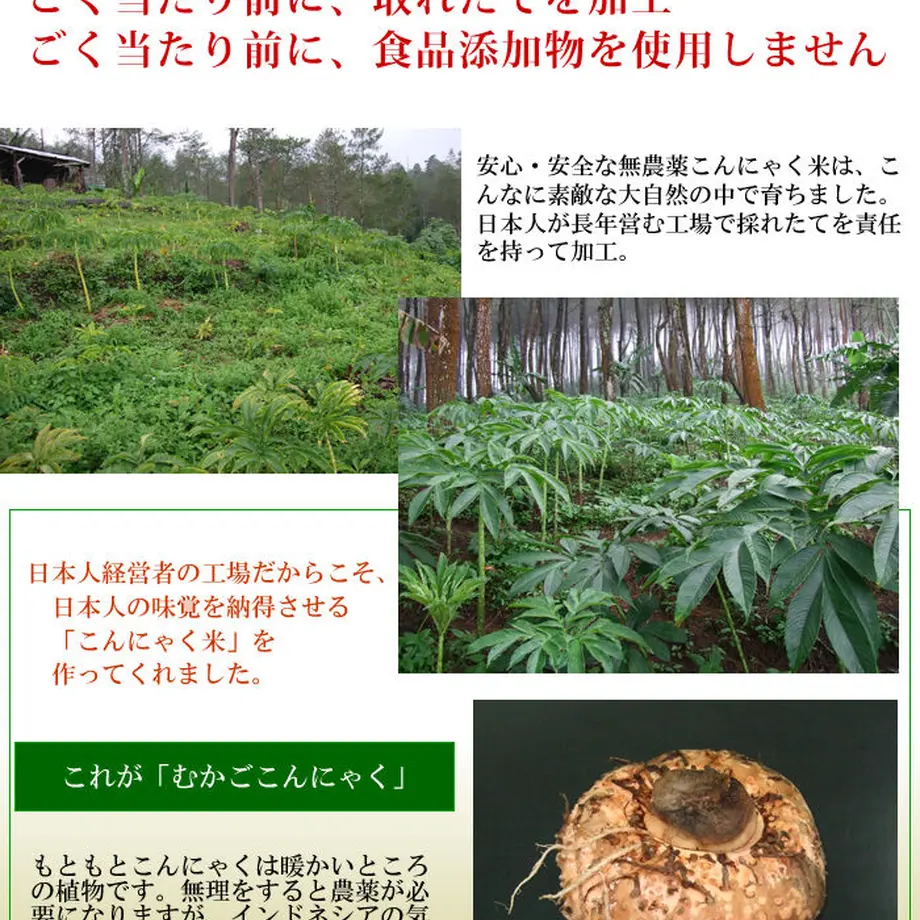 5f82fe508ac3940e3ea2fdda