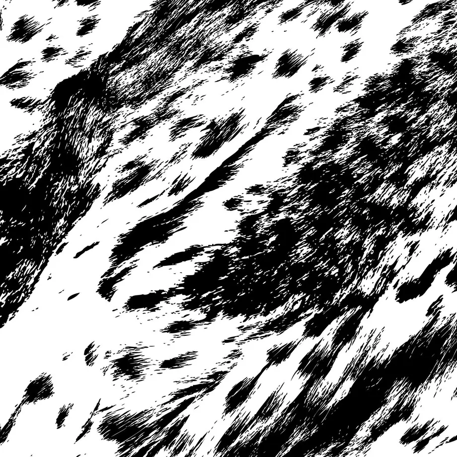 57848838a458c03812001196