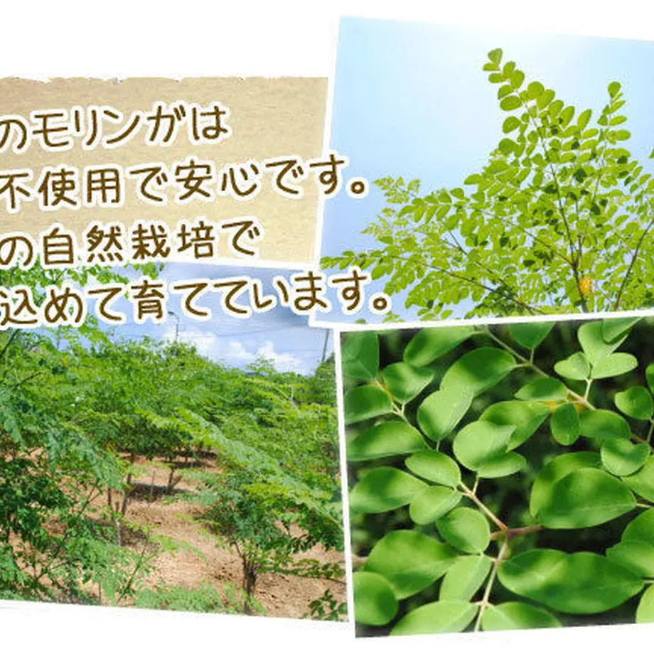 5cc1255dadb2a177d408b304