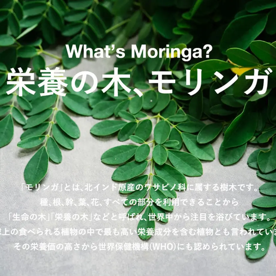 60c84f77d7e1d843cd1894f1