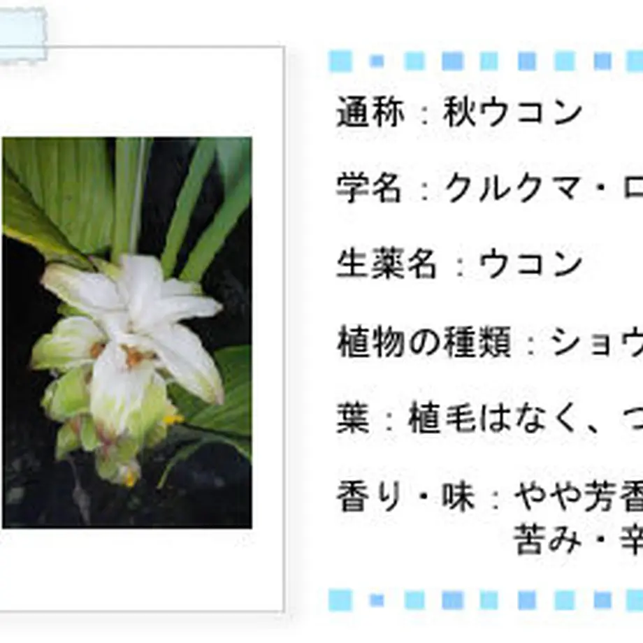 5e70775be20b0429f274e35d