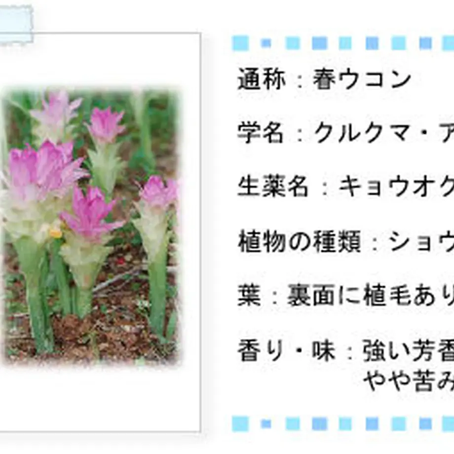 5e70775be20b0429f274e35d