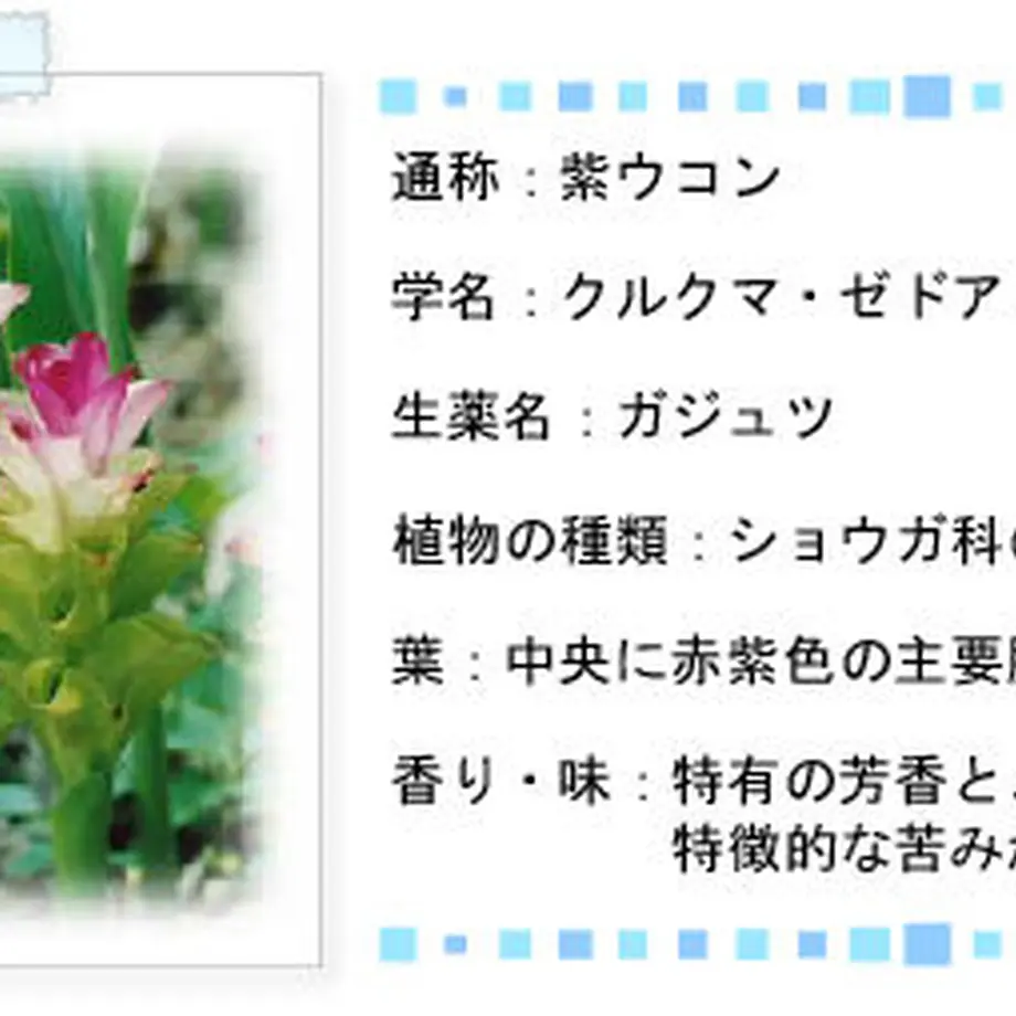 5e70775be20b0429f274e35d