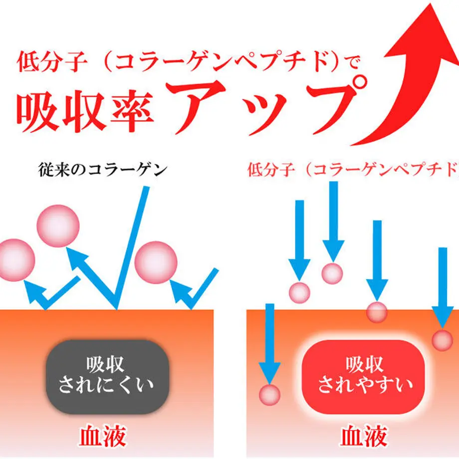 5cc29d58d211bf5940c8a386