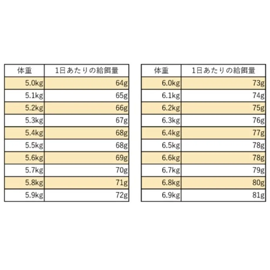 5ed5bc1655fa037858a8777e