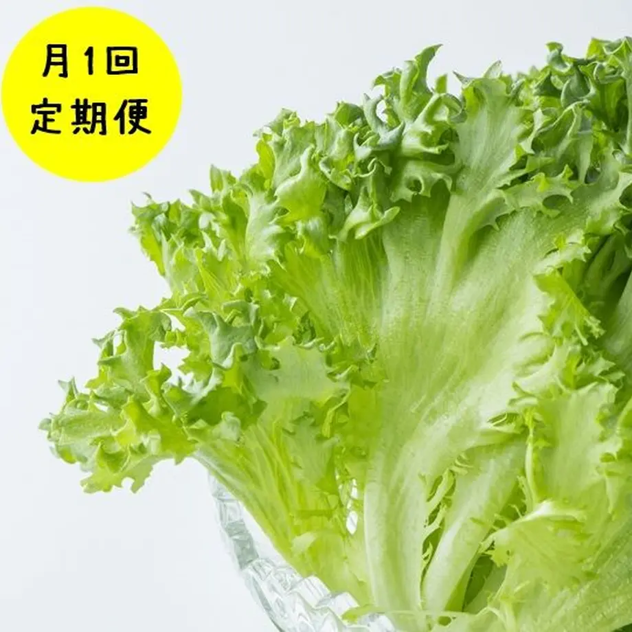 617ba99272eb46131ea5aa10