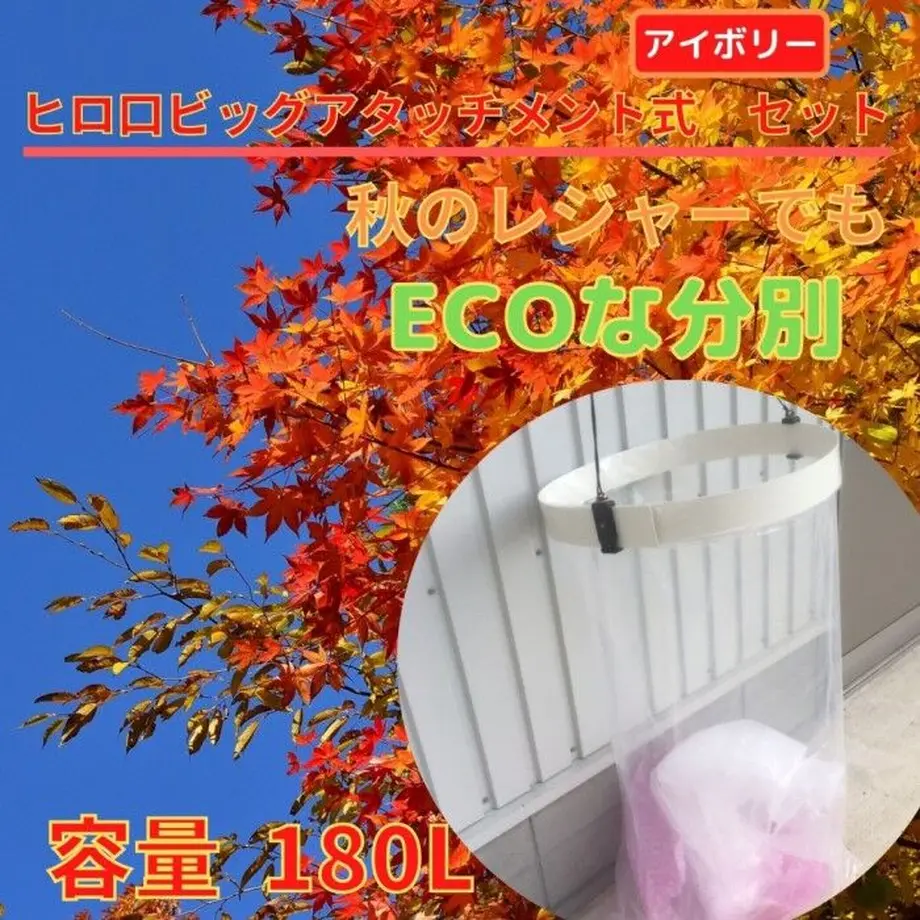 6013b4af2438602f50ad421e