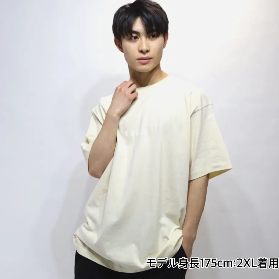 603f94e6c19c454cb68687a3