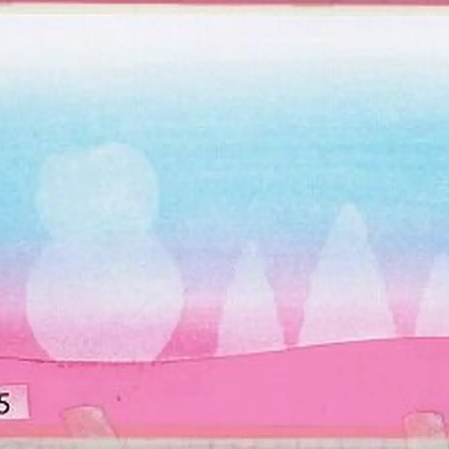 5fc85556f0b108795c8db019