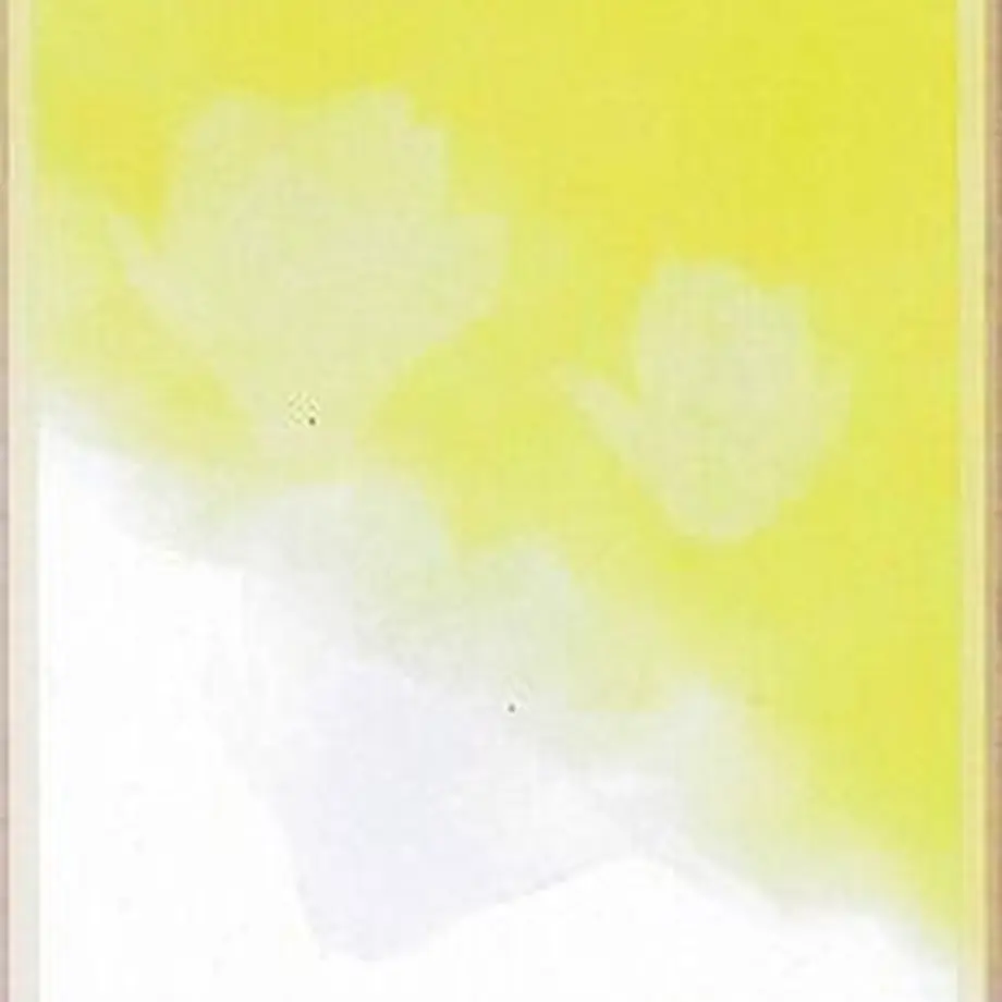 5fc848a472eb466ac42ab947
