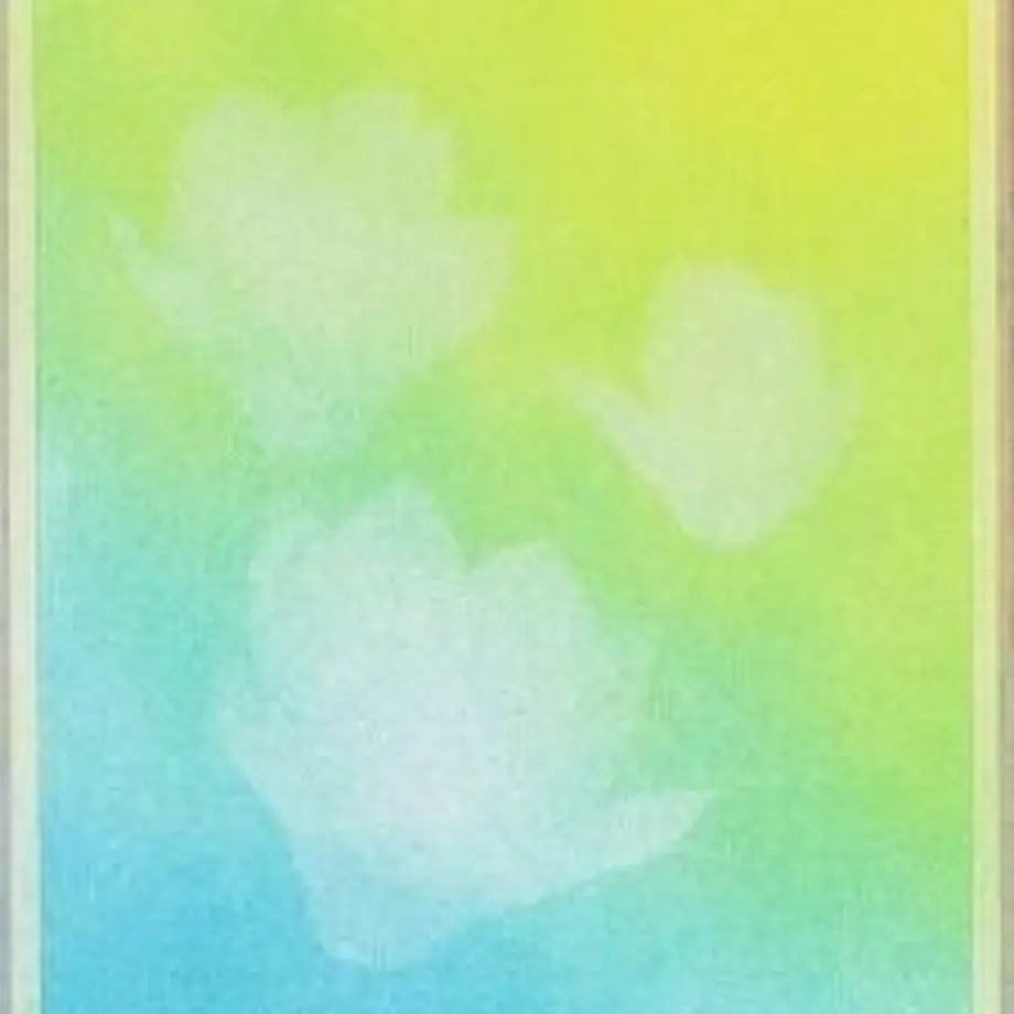 5fc848a472eb466ac42ab947