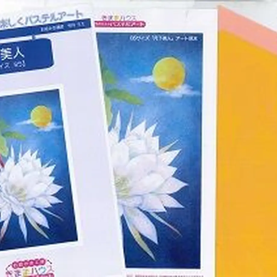 5fc349b08a45724c3b7116b5