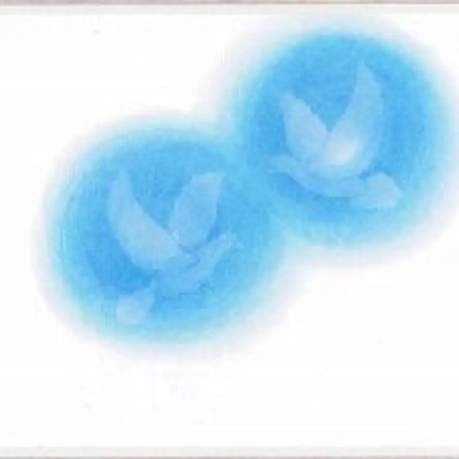 5fc5b86b72eb462a6b330414