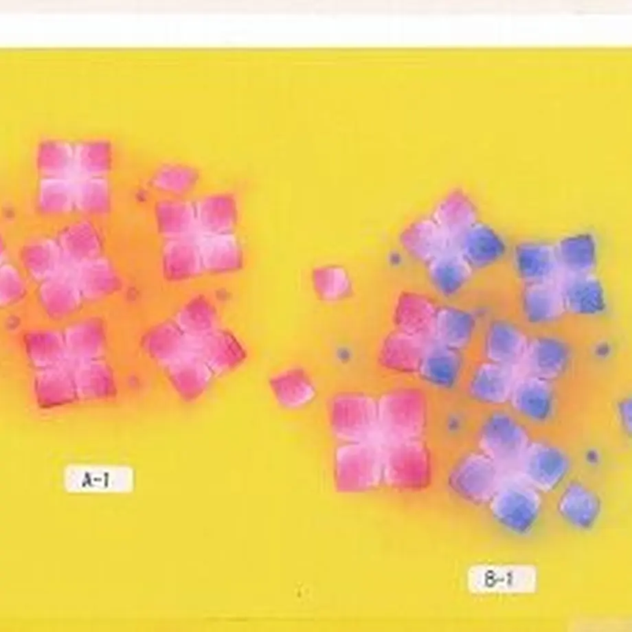 5fd1ae0f8a45721a9f328f1b