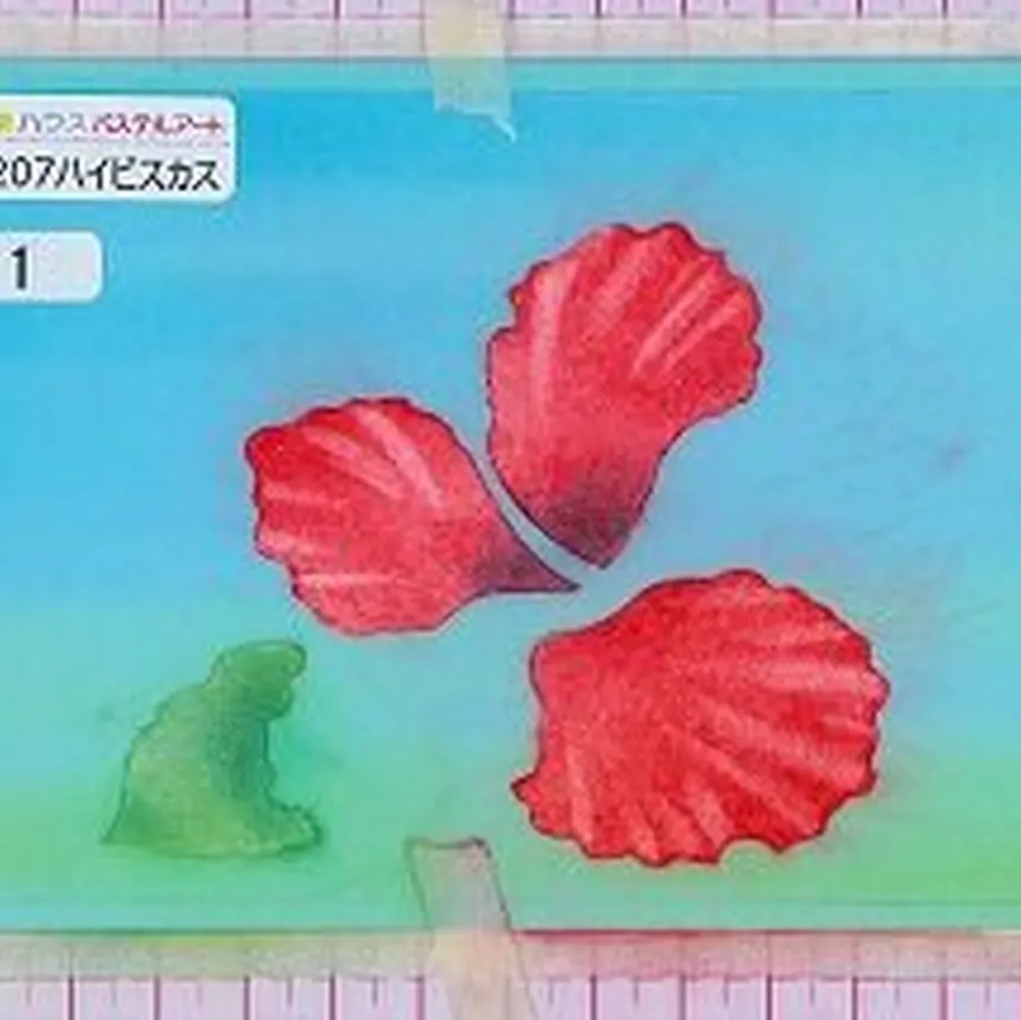 5fcda96ddf5159267a8c65ac