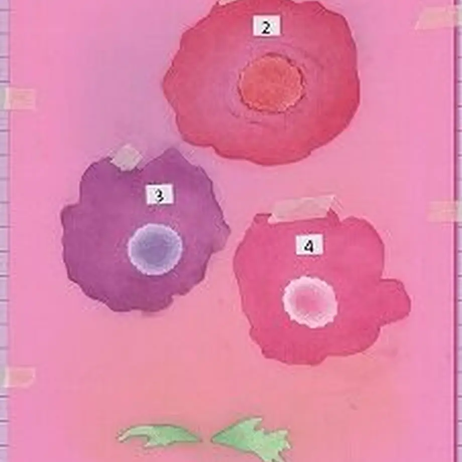 60175bb2aaf04329d71e5b4c