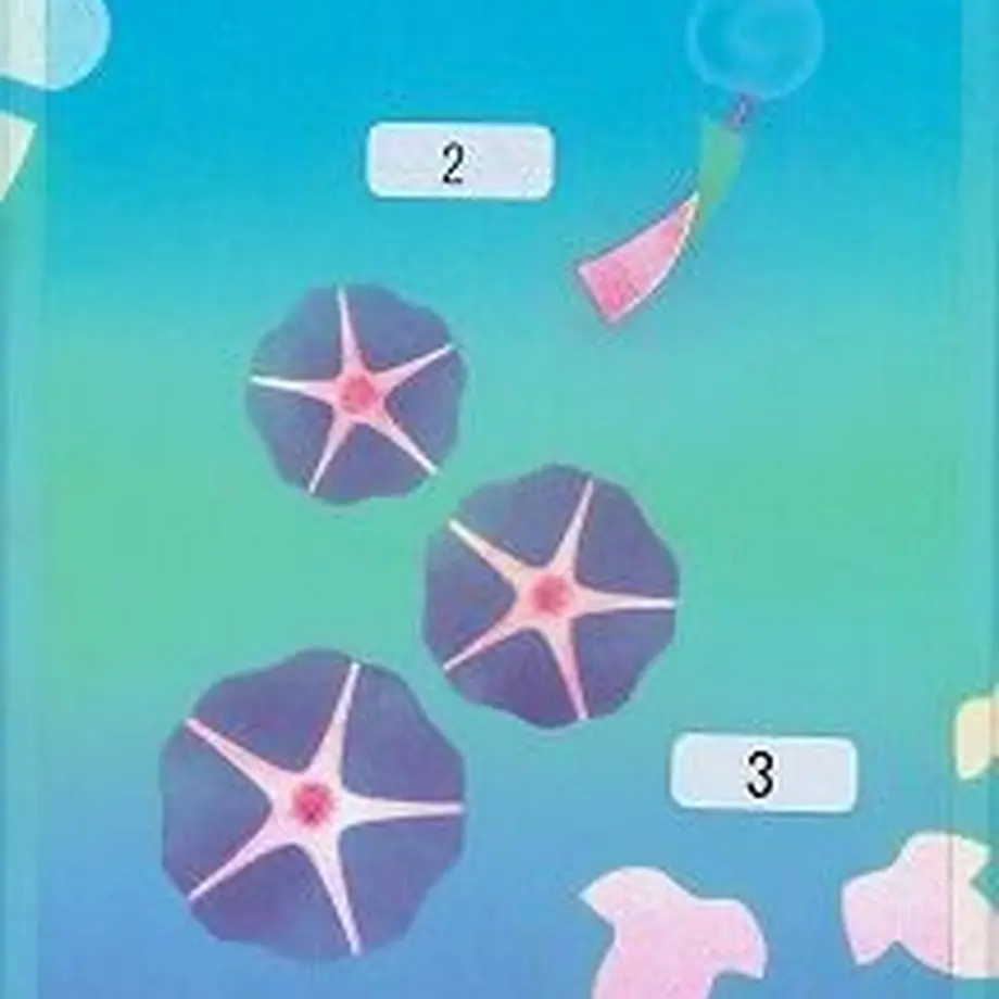 5fcdaa6bdf51591d0b8c5f7c