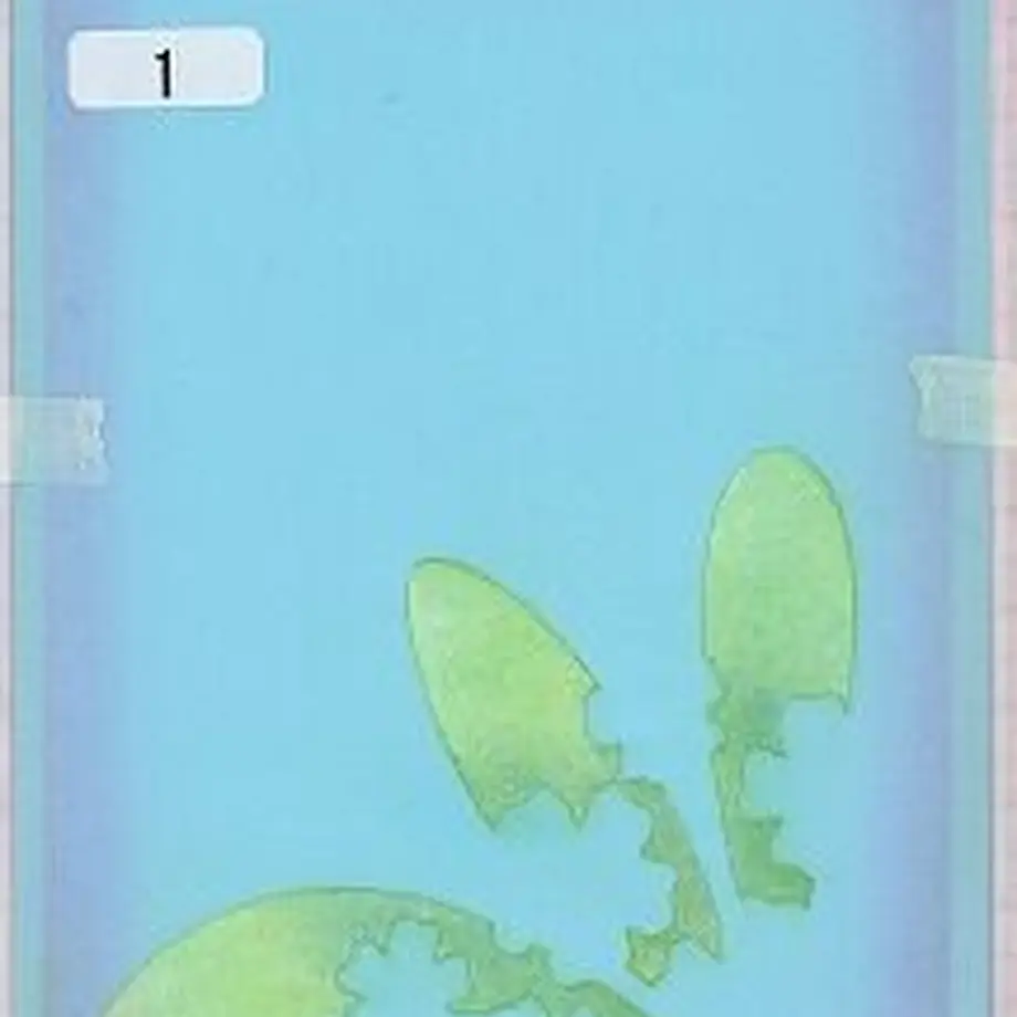 5fd2f385df51591947950205